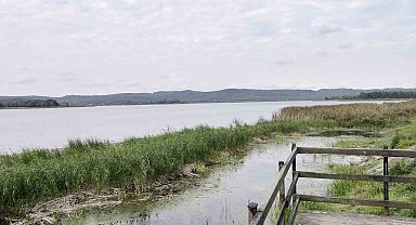 Sakarya'nın alüvyon set gölü can çekişiyor: Su seviyesi 8 metreden 2 metreye düştü