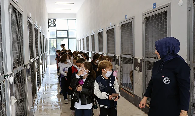 Sakarya'da can dostların yeni dünyasına hayran kaldılar