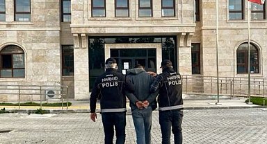 Saksıda kenevir yetiştiren 2 şüpheliye adli işlem