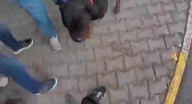 Saldırgan köpek gözetim altına alındı: Sahibine idari para cezası kesildi