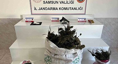 Samsun'da jandarmadan uyuşturucu operasyonu: İpe asılmış esrar ele geçirildi