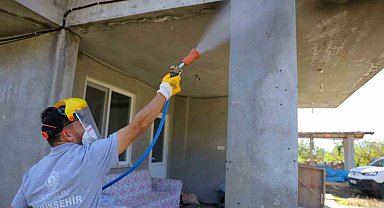 Samsun'da kahverengi kokarcaya karşı kışlak seferberliği