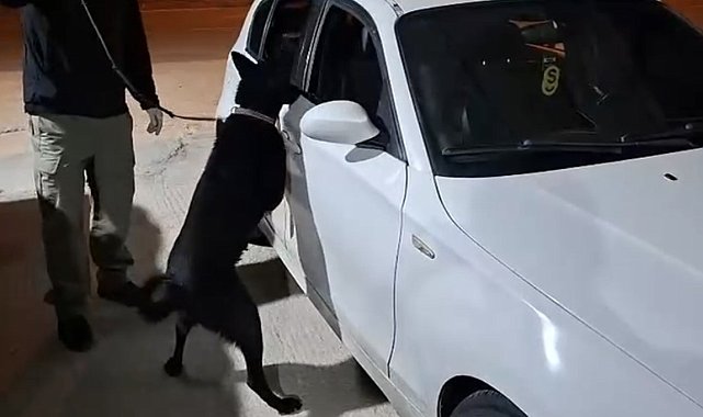 Samsun'da narkotik köpeği Çakır, yakıt deposuna gizlenen metamfetamini buldu