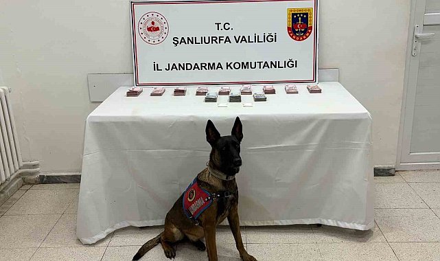 Şanlıurfa'da 210 bin TL ile uyuşturucu madde ele geçirildi