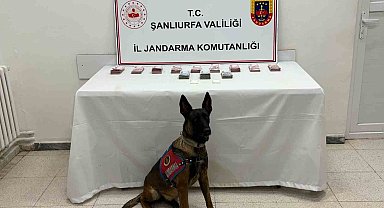 Şanlıurfa'da 210 bin TL ile uyuşturucu madde ele geçirildi