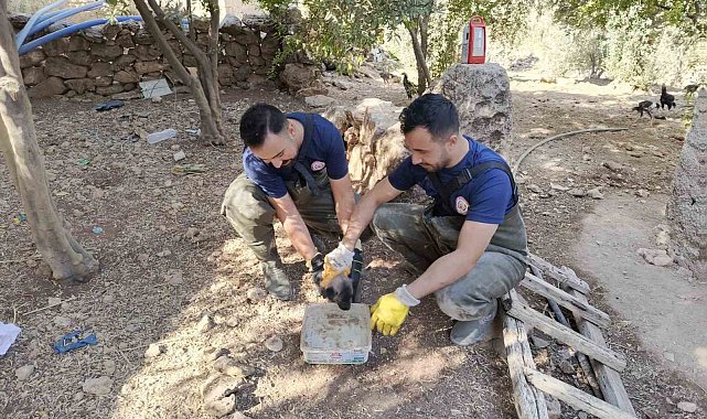 Şanlıurfa'da foseptik çukuruna düşen köpek yavrusu kurtarıldı