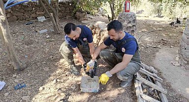 Şanlıurfa'da foseptik çukuruna düşen köpek yavrusu kurtarıldı