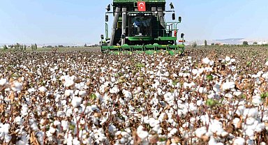 Şanlıurfa'da pamuk koruma altında