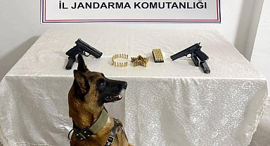 Şanlıurfa'da silah kaçakçılığı operasyonu: 8 gözaltı