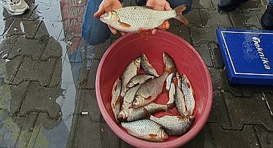 Sapanca Gölü'nde kızılkanat heyecanı: Amatör balıkçılar kıyasıya yarıştı