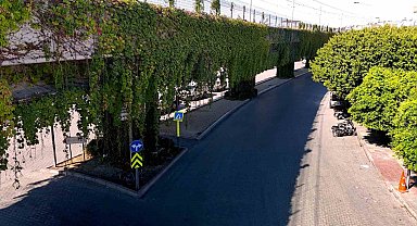 Sarmaşıklarla kaplı metro yolu, görsel şölen oluşturuyor