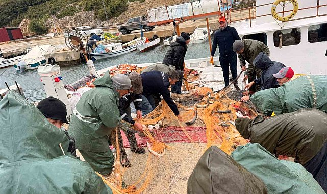 Saros Körfezi'nde denize açılan balıkçıların ağları kefal ile doldu