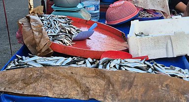 Seyyar balıkçı: "Bu senenin balığı sardalya"