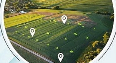 SGK'dan taşınmazların e-satışında yeni düzenleme