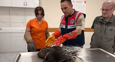 Siirt jandarmasından doğa dostu çalışmalar