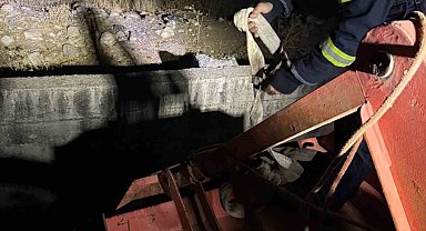 Siirt'te kanala düşen inek kurtarıldı