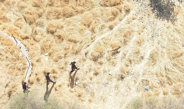 Siirt'te kaybolan alzaymır hastası Ramazan Batur için arama çalışmaları sona yaklaştı