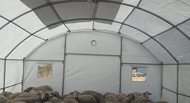 Sındırgı'da depremden etkilenen üreticilere geçici hayvan barınma çadırı desteği