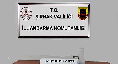 Şırnak'ta jandarmadan kaçakçılık operasyonu: 1 tutuklama