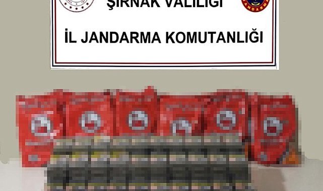 Şırnak'ta kaçakçılığa büyük darbe: 10,6 milyon liralık malzeme ele geçirildi