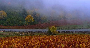 Sisler içindeki vadinin kalbinde doğa yürüyüşü