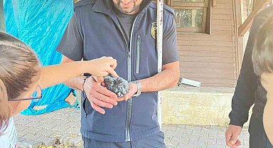 Sivas'ta boruya sıkışan kuşu itfaiye kurtardı