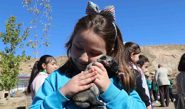 Sivas'ta öğrenciler, Anadolu'nun aslanı kangallarla buluştu