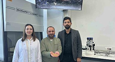 Sivas'ta yerli zeron buğdayından organik bulgur üretildi