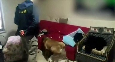 Sokak satıcılarına büyük darbe: 12 şahıs tutuklandı