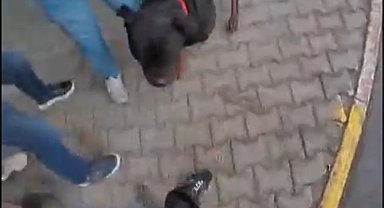 Sokakta ağızlıksız gezdirilen 'Rottweiler' cinsi köpek dehşet saçtı... O anlar kamerada