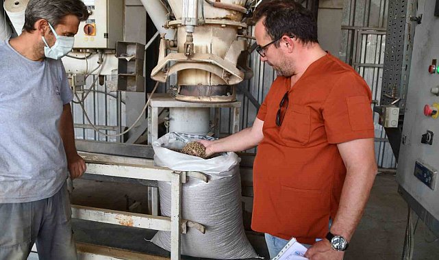 Söke Belediyesi'nden sokak hayvanları için örnek çalışma