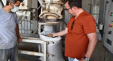 Söke Belediyesi'nden sokak hayvanları için örnek çalışma