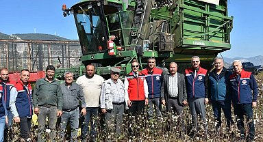 Söke Ovası'nda pamuk hasadı sürüyor