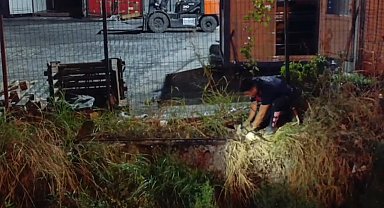 Su kanalına düşen kedi itfaiye ekiplerince kurtarıldı