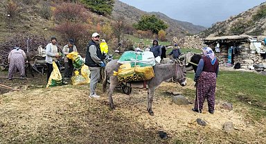 Şuhut'ta kestane hasadı başladı