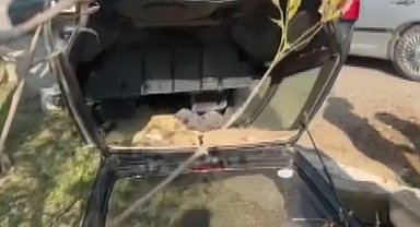 Takla atan otomobil ters durdu