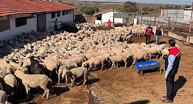 Tarım İl Müdürü Aksoy üreticinin sorunlarını yerinde dinledi