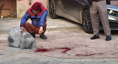 Tartıştığı ağabeyini sokak ortasında bıçaklayıp evine döndü