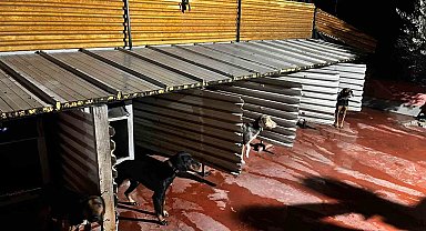 Tepkiye neden olan görüntüler sonrası Emniyet harekete geçti