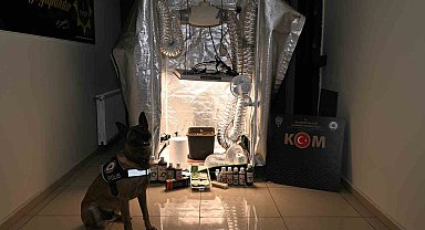 Test sonuçlarına para karşılığı müdahale: 20 gözaltı