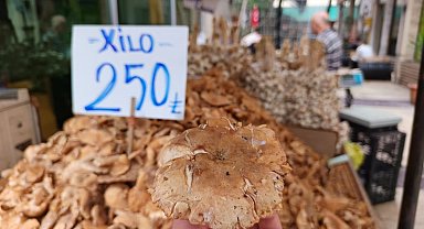 Tezgahlarda tirmit bolluğu: Fiyatı düştü