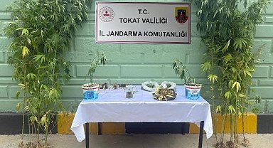 Tokat'ta jandarma ekipleri tarafından 2 ayda 56 kişi hakkında uyuşturucuya bağlı suçlarından işlem yapıldı