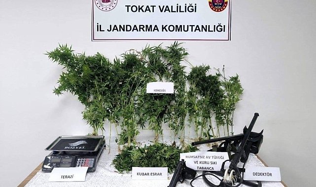 Tokat'ta jandarmadan eş zamanlı uyuşturucu operasyonu: 2 tutuklama