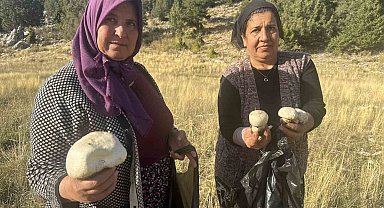 Toros'larda yağmurla birlikte mantar sezonu açıldı