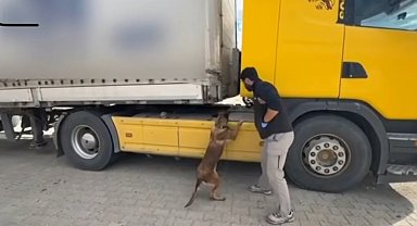 Tosya'da tıra zulalanmış uyuşturucu ele geçirildi: 1 tutuklama