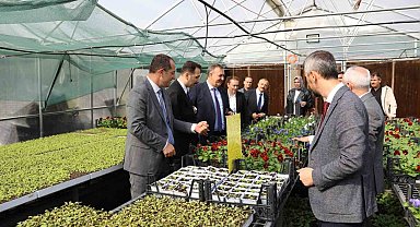 Trabzon'un Akçaabat ilçesinde tarımsal üretime destek sürüyor