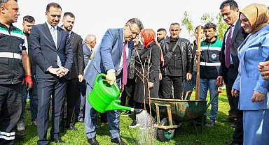 Trabzon'da 37 bin fidan toprakla buluştu