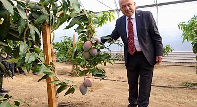 Tropik bitkilerden sebzeye: Öğrenciler seralarda deneyim kazanıyor