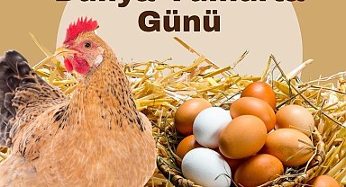 Türk Veteriner Hekimleri Birliği Başkanı Eroğlu: "Yumurta doğanın en eşsiz gıda kaynaklarından biridir"