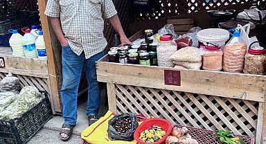 Türkeli'de kestane ve fesleğen mantarı tezgahlarda